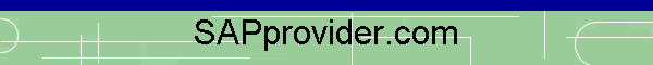 SAPprovider.Com