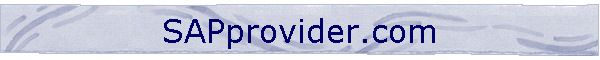 SAPprovider.com